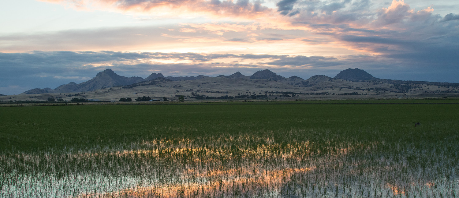 CHECK OUT THE ATTRACTIONS IN YUBA CITY