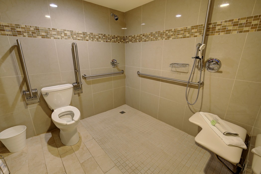 King Accessible Room