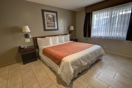 Accessible King Room_