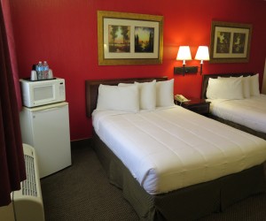 Family room that can accommodate up to 4 adults